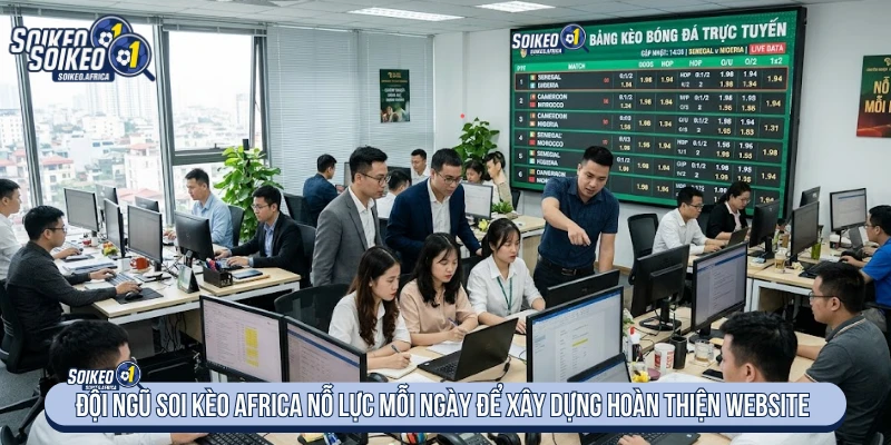 Đội ngũ Soi Kèo Africa nỗ lực mỗi ngày để xây dựng hoàn thiện website