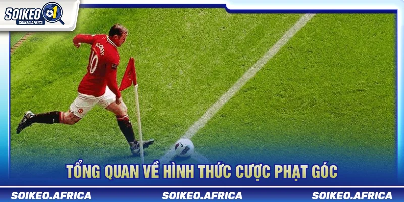 Cách Soi Kèo Phạt Góc Dựa Trên Dữ Liệu Trận Đấu Đôi nét về hình thức kèo phạt góc