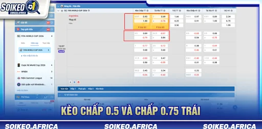 Cách đọc tỷ lệ kèo châu Á trước trận cho từng loại
