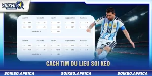 Cách tìm dữ liệu soi kèo